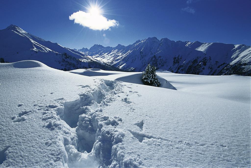 Silva Peak Residences Galtuer - Paznaun - Inkl Premium Silvretta Card Dış mekan fotoğraf